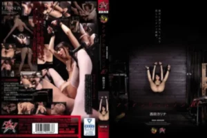 DASD-326 [Uncensored Leaked]