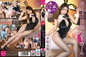 336KBR-017